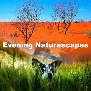 HD Nature Sound Library Slipped Swoop