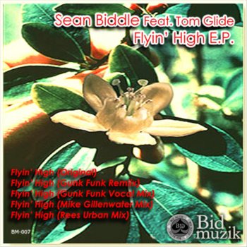 Sean Biddle feat. Tom Glide Flyin' High (Mike Gillenwater Mix)