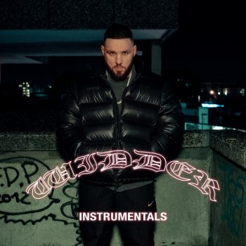 Fler MODELFACE - Instrumental