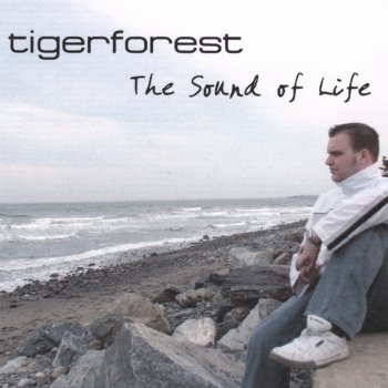 Tigerforest Colors of the Summer Sky