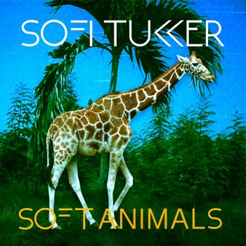 Sofi Tukker Drinkee