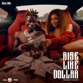 Shatta Wale Rise Like Dollar