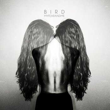 Bird Oh My Love