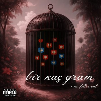 Исполнитель Azeem, альбом Bir Kaç Gram