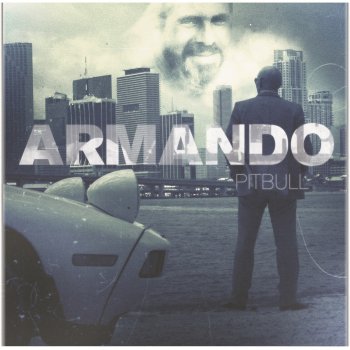 Pitbull Maldito Alcohol (Pitbull vs. Afrojack)
