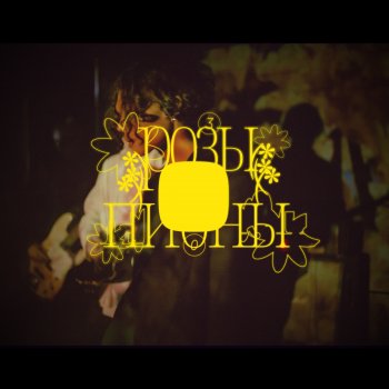 Исполнитель Убиваю Насекомых, альбом розы2пионы