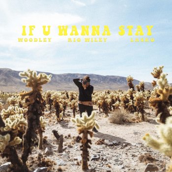Rio Wiley IF U WANNA STAY (feat. LASKO & woodley)