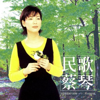 蔡琴 决择