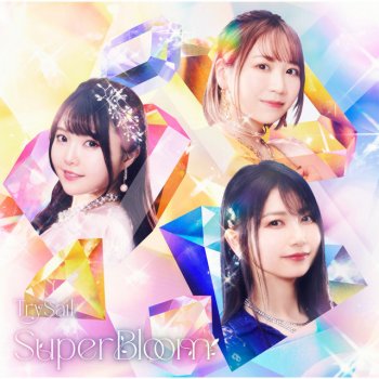 Trysail 遥かな航海