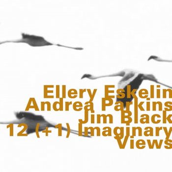 Ellery Eskelin, Andrea Parkins & Jim Black Modular