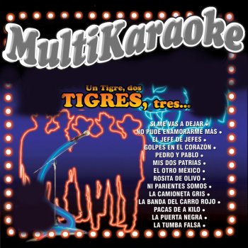 Multi Karaoke Pacas De A Kilo