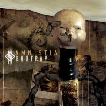 Amnistia Gamble With a Lie