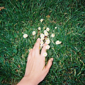 Vaarwell could you not go?