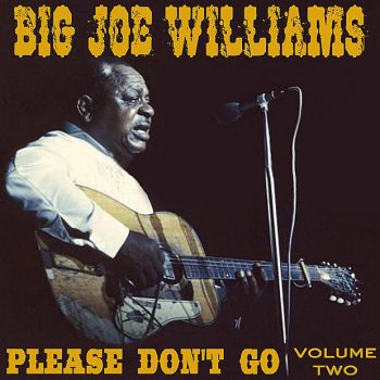 Big Joe Williams I Won't Be In Hard Luck Anymore