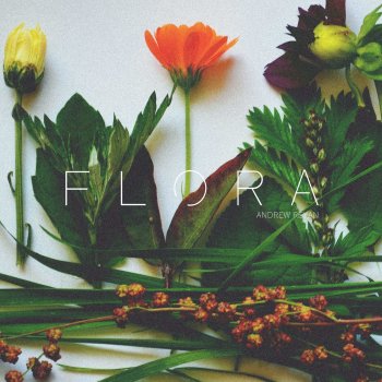 Andrew Reyan Flora (Continuous mix)