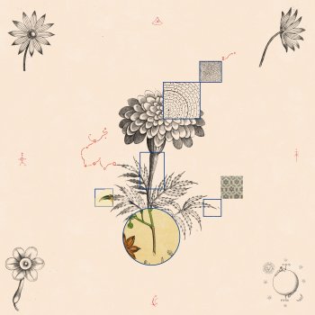 Исполнитель Lucas Hill, альбом Cambia