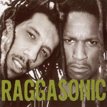 Raggasonic No Money no Friend