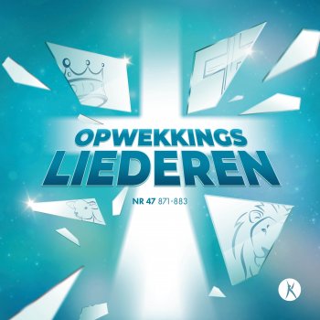 Stichting Opwekking Heer ik roep vanuit het dal (880)