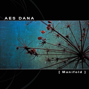 Aes Dana Manifold (Ground Edit)