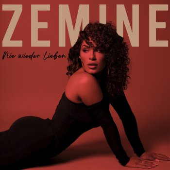 Исполнитель Zemine, альбом Nie wieder lieben - Single