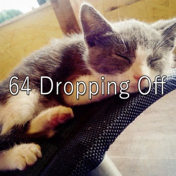 Bedtime Baby Free Your Mind To Sleep