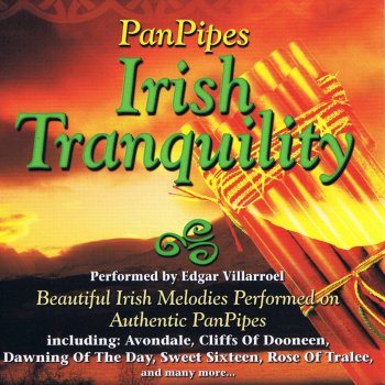 Исполнитель Edgar Villarroel, альбом Panpipes - Irish Tranquility
