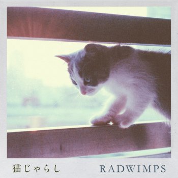 RADWIMPS Nekojarashi