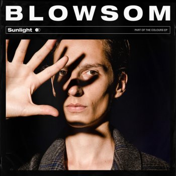 BLOWSOM Sunlight