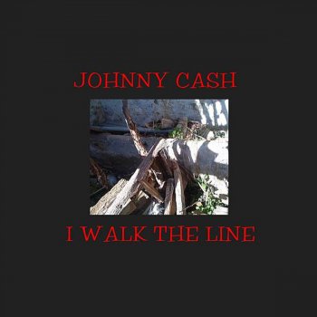 Johnny Cash What Do I Care - Mono Version