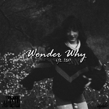Исполнитель Ughlie, альбом wonder why