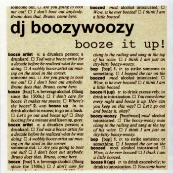 DJ BoozyWoozy 328 Ways to Do Angelina