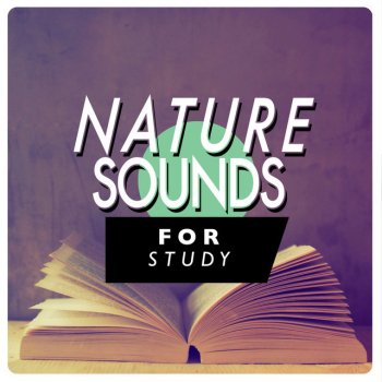 Exam Study Nature Music Nature Sounds By the Stream