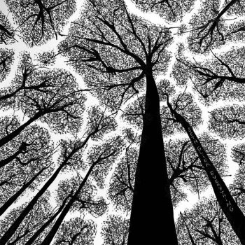 Исполнитель Seth Glier, альбом Rise