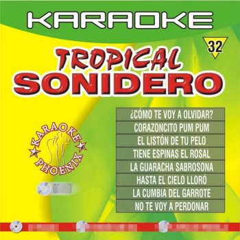 Multi Karaoke No Te Voy A Perdonar