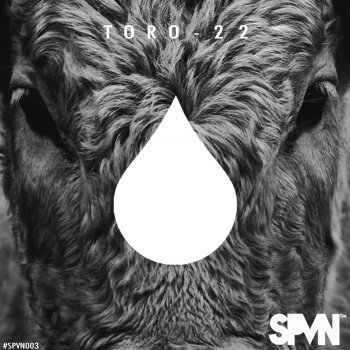 Исполнитель Toro, альбом 22