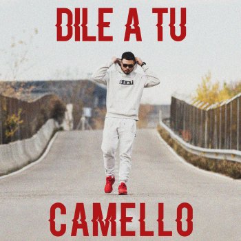 Damaco Dile a tu camello