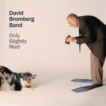 David Bromberg Drivin' Wheel