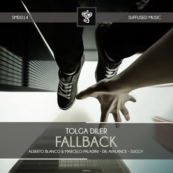 Tolga Diler Fallback - Original Mix