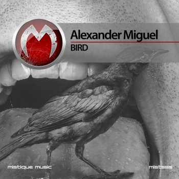 Alexander Miguel Takeoff