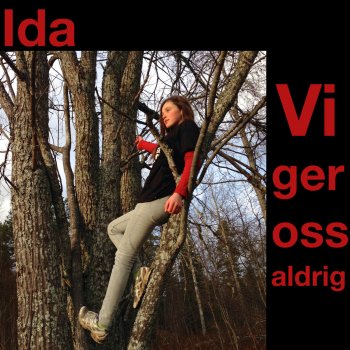 IDA Vi ger oss aldrig