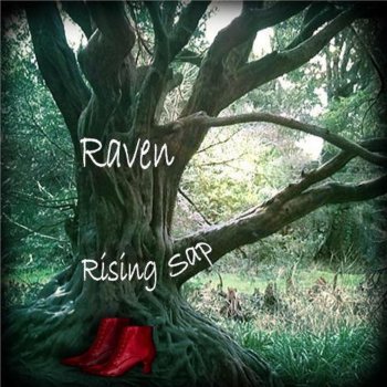 Raven Red Shoes