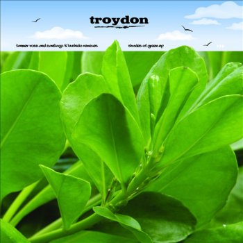 Исполнитель Troydon, альбом Shades of Green