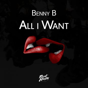 Benny B All I Want - Original Mix