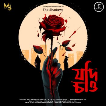 The Shadows Jodi Chao