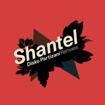 Shantel Disko Partizani - Dublex Inc. Remix