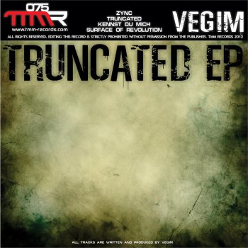 Vegim Surface Of Revolution