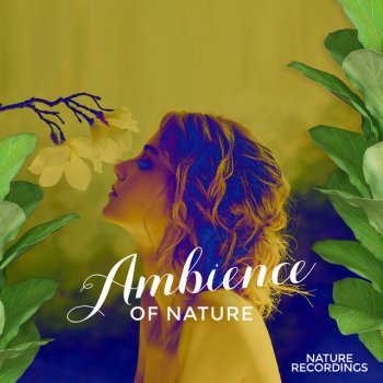Nature Recordings Cliffs Aroma