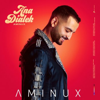 AMINUX Ana Dialek