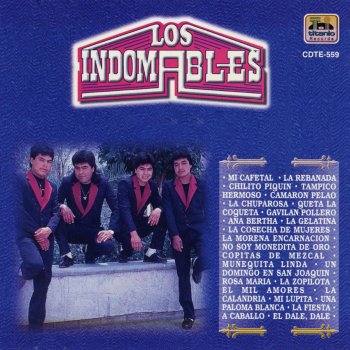 Los Indomables La Rebanada