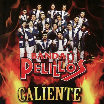 Banda Pelillos Sorbito de Champange